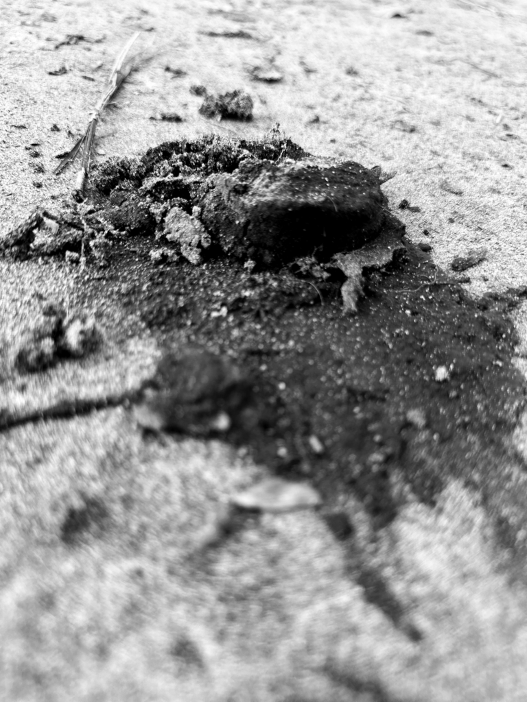 Ik zie, ik zie, wat jij niet ziet