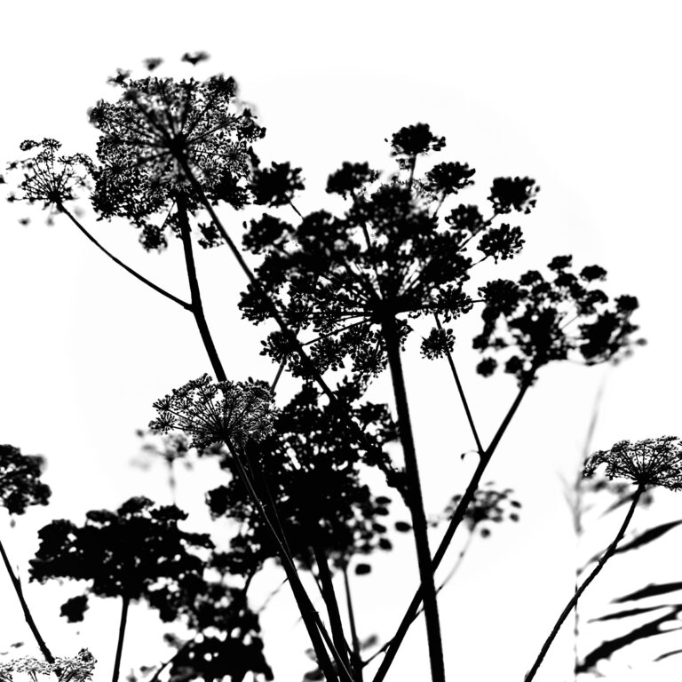 Never Run Out of Ideas: Top Tips for Generating Fresh Blog Topics