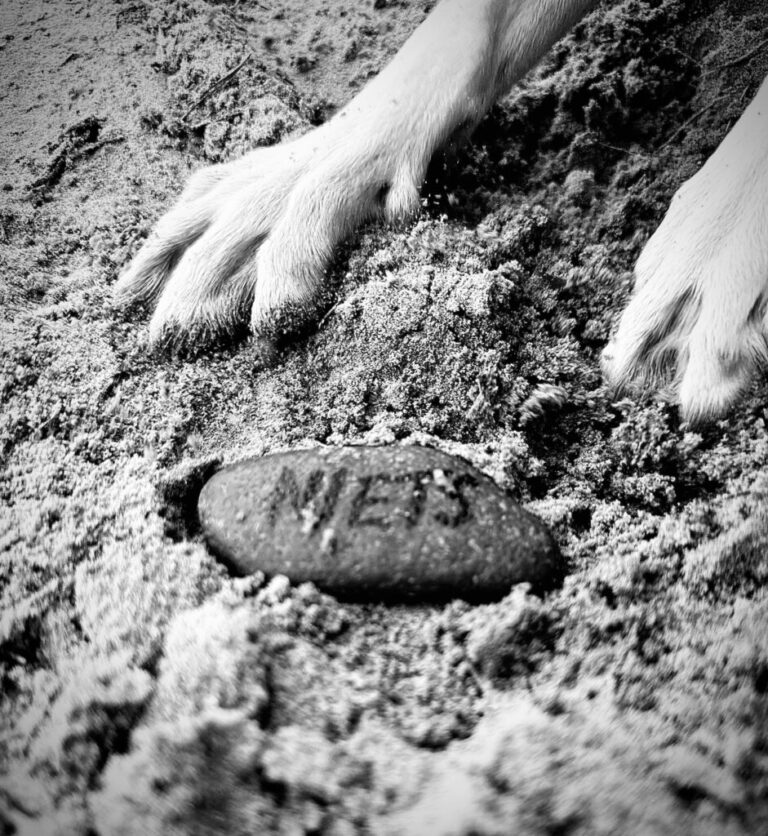 Effective Blog Promotion: Strategies to Increase Your Reach